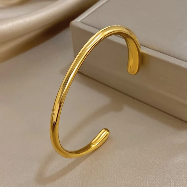 Bracelet en inox jonc, parfait pour un cadeau élégant et chic
